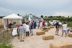 Ortofest8